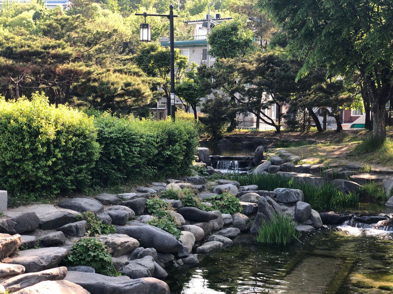 Place where time has frozen; Namsangol Hanok Village, the most beautiful site in Seoul